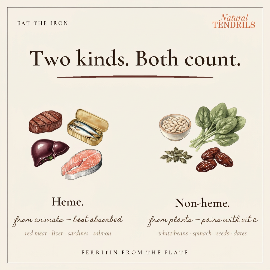 Iron-rich foods to eat, not just swallow